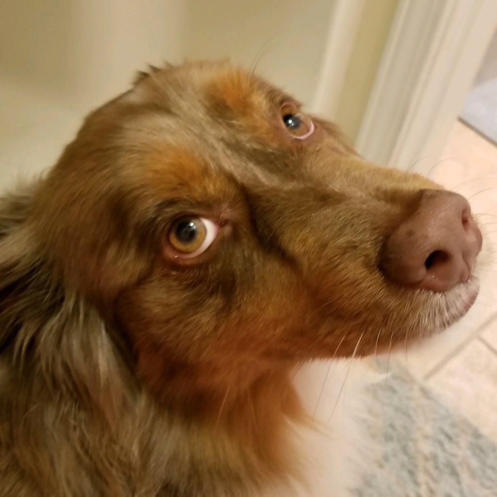 Meet your Posher, Brianna